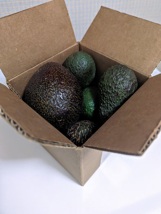 Organic Hass Avocados - Small Box 3lbs