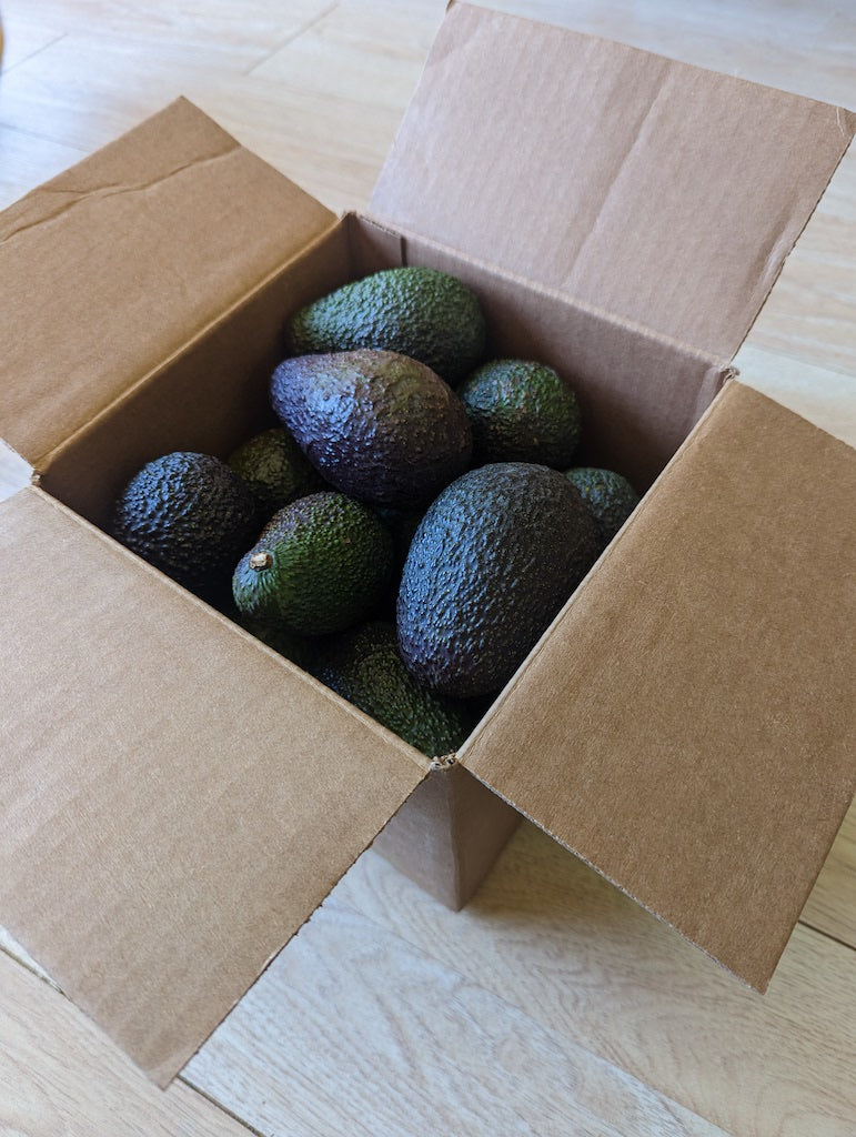 California Grown Avocados Delivered To Your Door - Certified Organic Hass Avocado Boxes