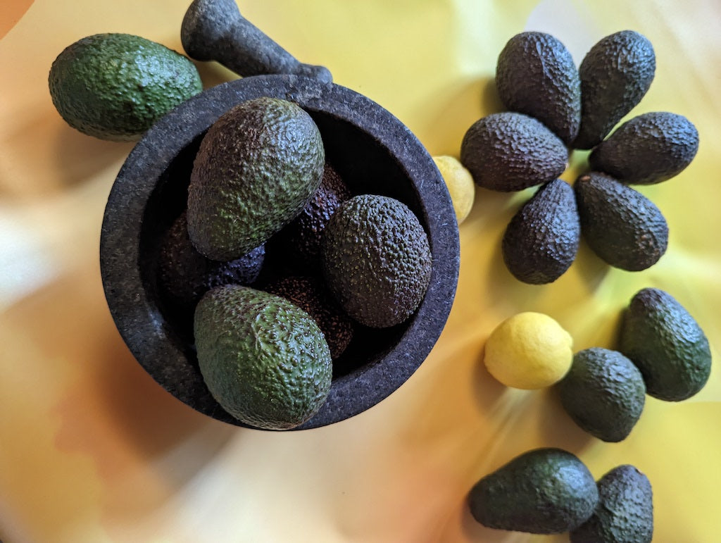 Organic Hass Avocados - 9lb Farm Box