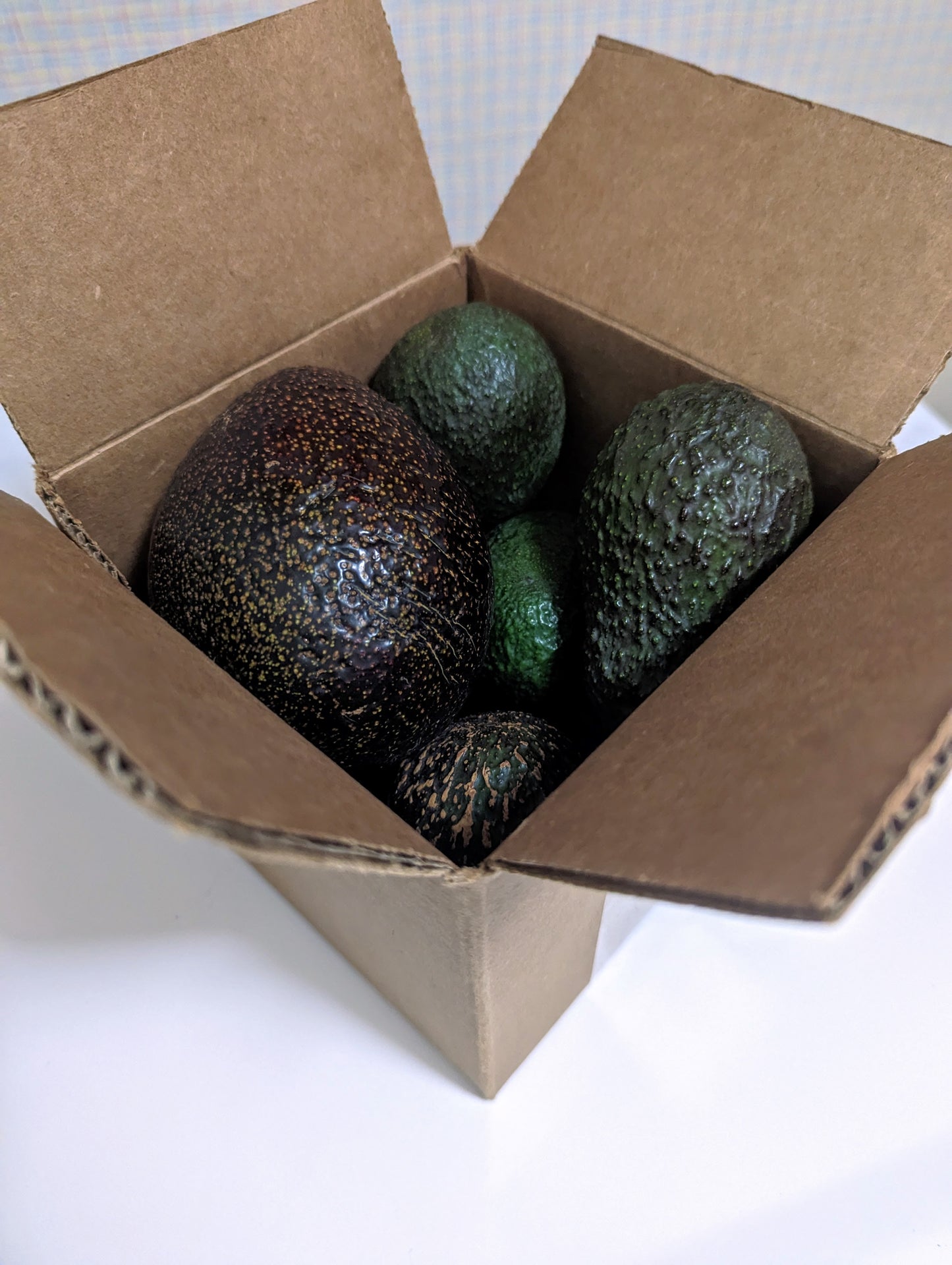 California Grown Avocados Delivered To Your Door - Certified Organic Hass Avocado Boxes