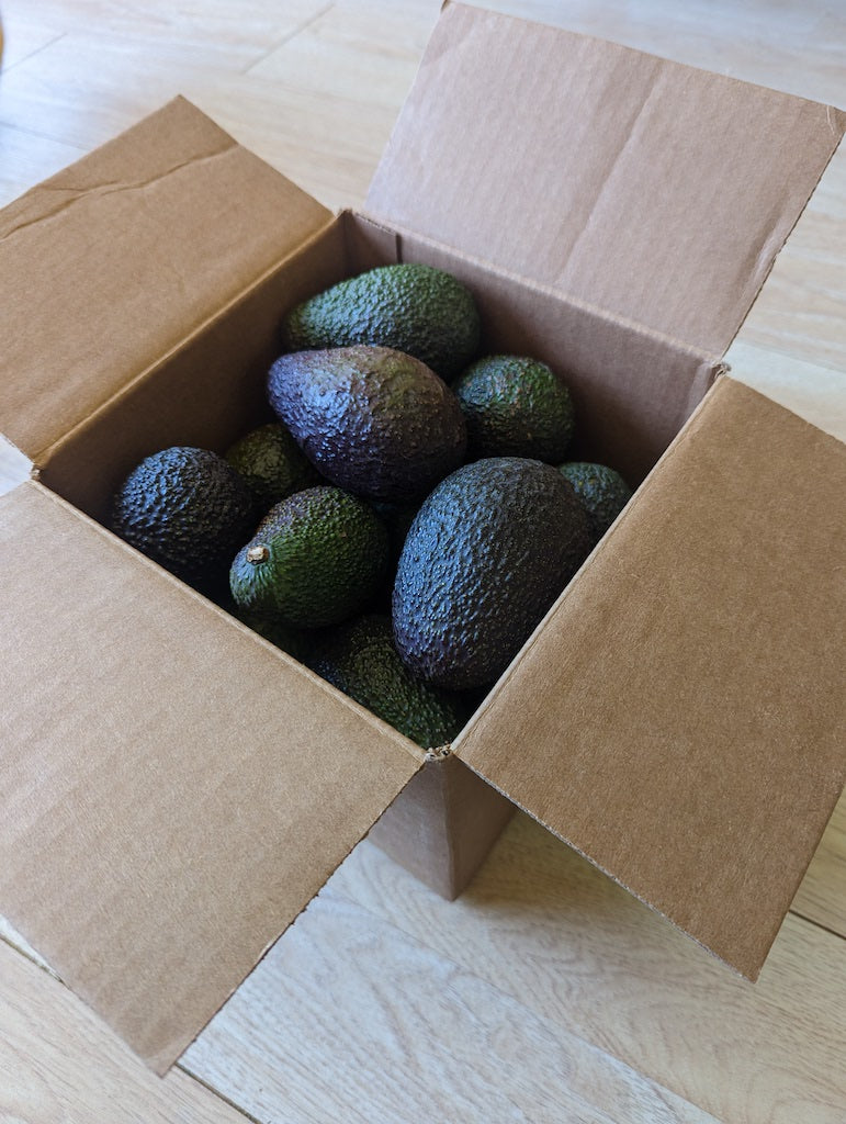 San Diego Grown Organic Avocados Local Home Delivery - Certified Organic Hass Avocado Boxes