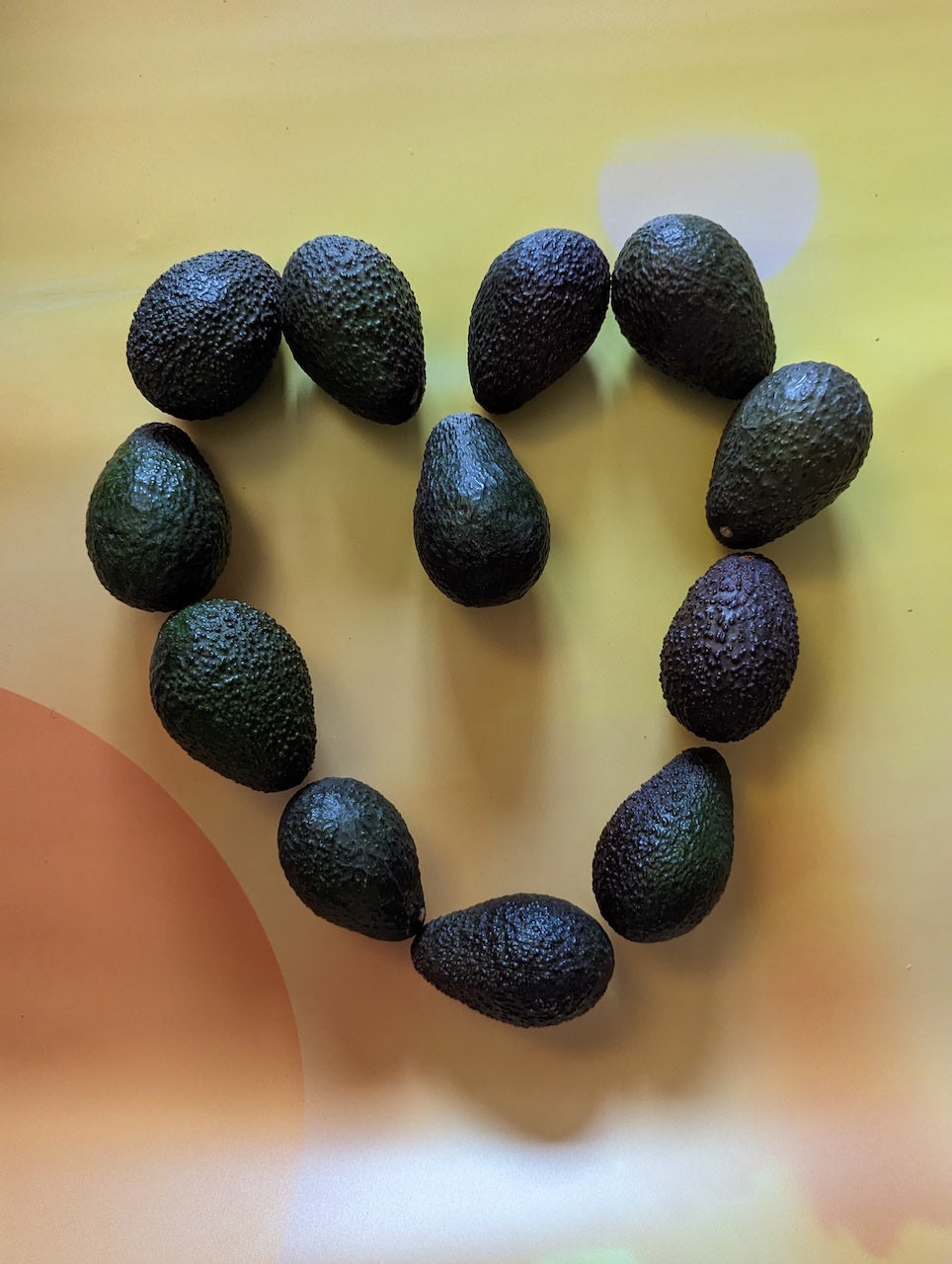 Organic California Grown Avocados - 6lb Medley Box